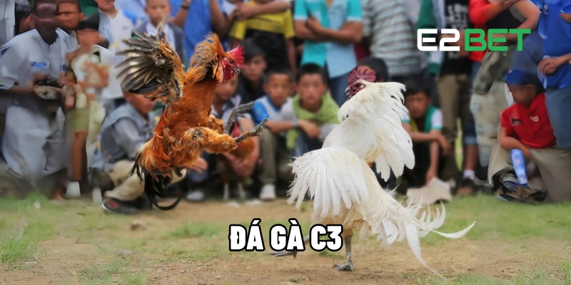 da ga c3 1